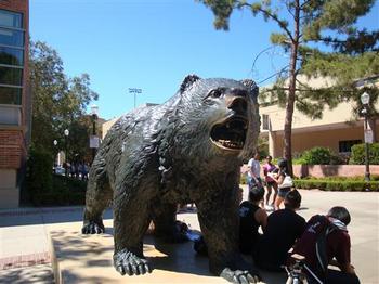 UCLA11.jpg